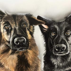 Custom Pet Portrait - Hand drawn Original Artwork in Pastel. You send me your photo and I create your artwork