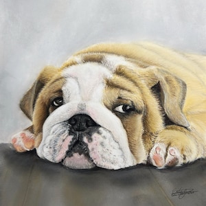 Hand drawn Original Artwork - English Bulldog