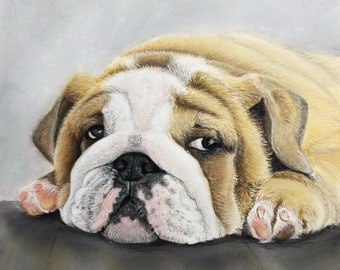 Hand drawn Original Artwork - English Bulldog