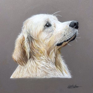 Hand drawn Original Artwork - Golden Retriever