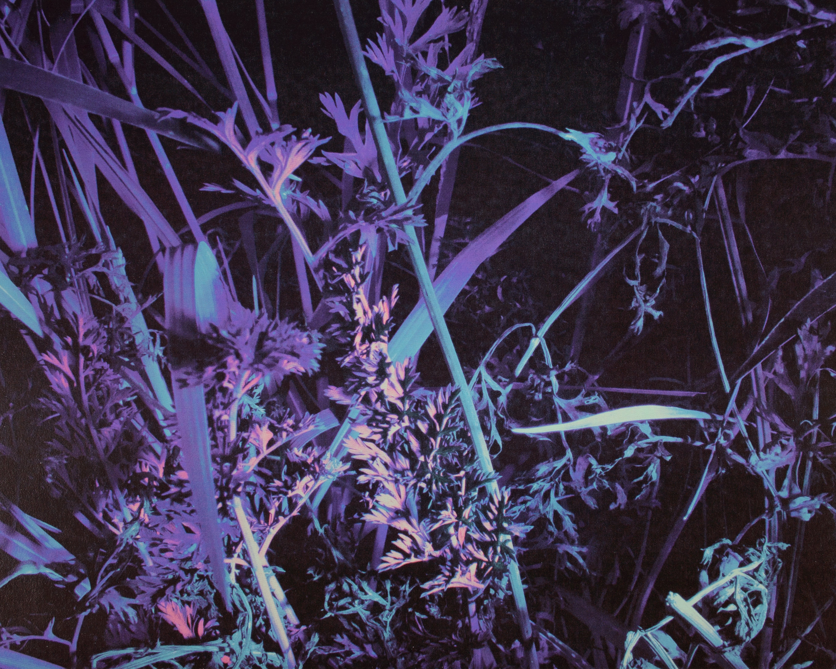 Blacklight Garden Photo Print – Glowing UV Reactive Wall Art