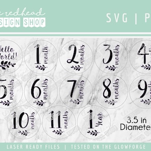 SVG - Month to Month Milestone Discs- SVG Glowforge Laser File - CNC Cut File - Digital Download