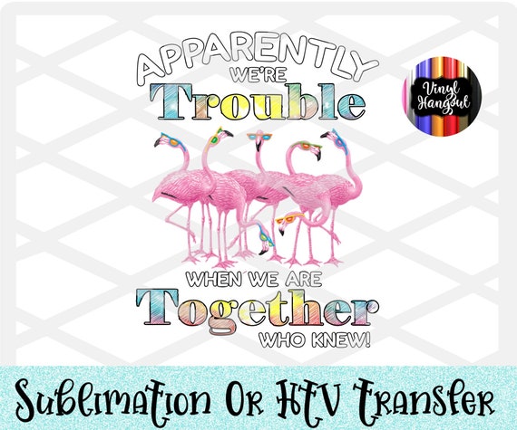 Apparently Were Trouble White Heat Transfer, Ready to Press, Heat Transfer  Vinyl, Sublimation, Decal for Shirts, DIY, Were Trouble, Flamingo 