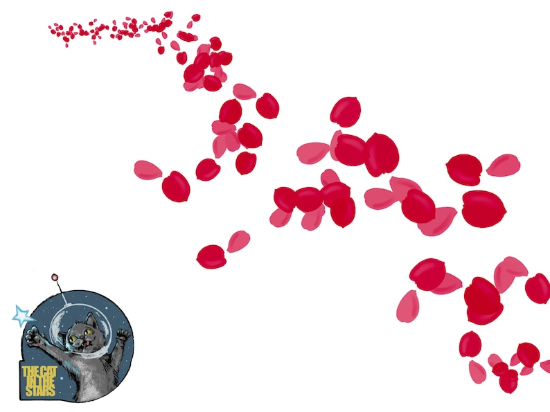 Rose Petals Digital Brush Set for Procreate Commercial Use Download ...