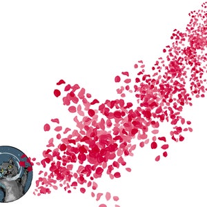 Rose Petals Digital Brush Set for Procreate Commercial Use Download ...