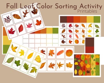 Fall Leaf Color Sorting / Color Matching / Card Sort / Velcro Activity / Shape Sorting / Reggio Activity / Montessori Materials