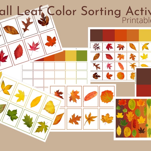 Fall Leaf Color Sorting / Color Matching / Card Sort / Velcro Activity / Shape Sorting / Reggio Activity / Montessori Materials