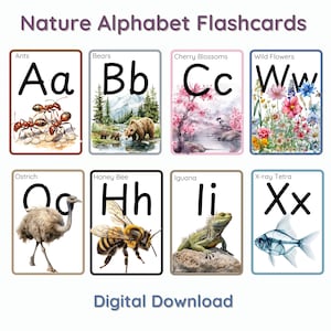 Flashcards alfabet natuur | ABC-kaarten met natuurthema voor thuisonderwijs en klaslokaal | Activiteit voor peuters en kleuters voor jonge kinderen