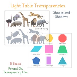 Puede incluir: Cinco hojas de película transparente con actividades de coincidencia de sombras de animales y formas geométricas. Las formas incluyen un hexágono, un octógono, un rombo, un cuadrado, un trapecio, un pentágono, un rectángulo y un triángulo. El texto "Shadow Matching" y "Hexagon" está incluido en la imagen.