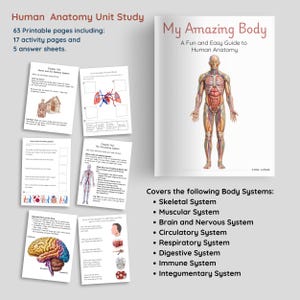May include: A colorful illustrated guide to human anatomy for kids. The cover features a cartoon human body with visible organs and systems. The title is "My Amazing Body: A Fun and Easy Guide to Human Anatomy". The book covers the skeletal, muscular, brain and nervous, circulatory, respiratory, digestive, immune, and integumentary systems.