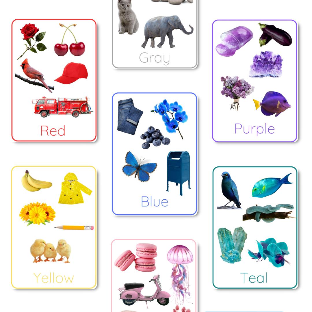 Printable Color Flashcards for Toddlers or Preschool | 12 Learning ...