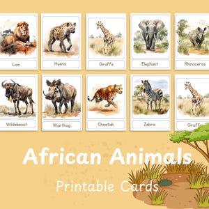 African Animal Flashcards, 12 Cards of Savannah Animals for Learning Habitats - Pre-K to 3rd Grade Educational Tool