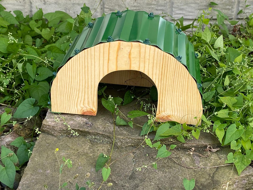 Toad Den Hobbit Hole Toad House / Frog House / Reptile Den Hide / Lizard House ...