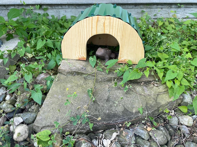 Toad Den Hobbit Hole Toad House / Frog House / Reptile Den Hide / Lizard House ...