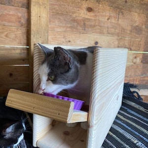 Cat feeder dog proof discount