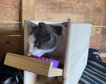 CH Cat Feeder / Feeding Stall / Elevated Feeder / Feeding Station Support for Wobbly Cat / Cats with Cerebellar Hypoplasia