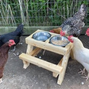 Heavy Duty Chicken Picnic Table / Chicnic Table / Chicken Feeder / Chicknic Table / Cat Feeder