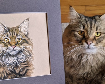 Custom Realistic hand drawn Pet Portrait, Colored pencil Drawing from a photo, Commission, Personalized Gift, Memorial Portrait