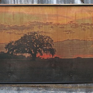 May include: A wood print of a sunset with a silhouette of a large tree in the foreground. The sky is a mix of orange, yellow, and pink with clouds. The tree is dark against the bright sky.