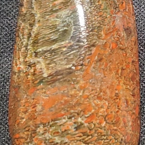 Polished agatized dinosaur gembone cabochon
