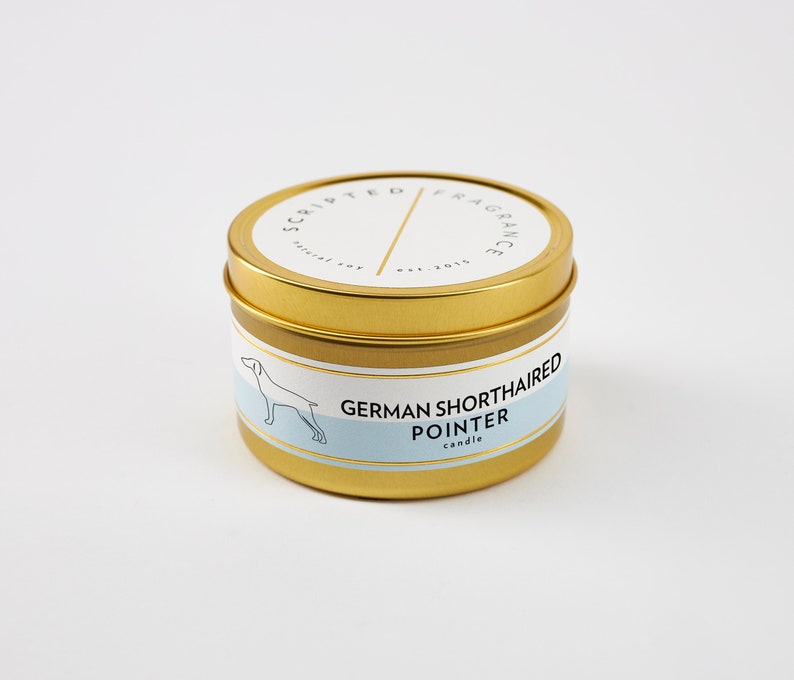 German Shorthaired Pointer Candle: Scented Soy Wax Rocks Glass Large Gold Tin