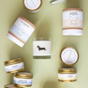 Puede incluir: Surtido de velas arom&aacute;ticas en latas doradas y blancas y frascos de vidrio. Las velas est&aacute;n decoradas con razas de perros y nombres, incluyendo Golden Retriever, Dachshund, Boxer, Labrador Retriever, Poodle, Corgi y Boston Terrier.