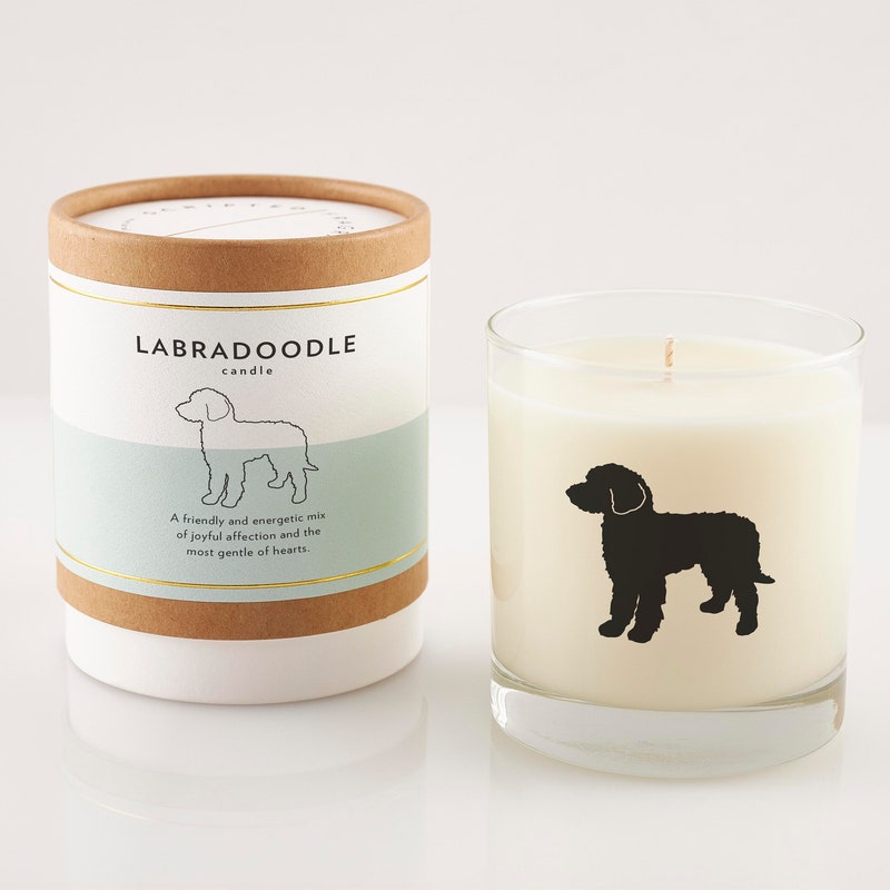 Labradoodle Gift 60+ Gift Ideas for 2025