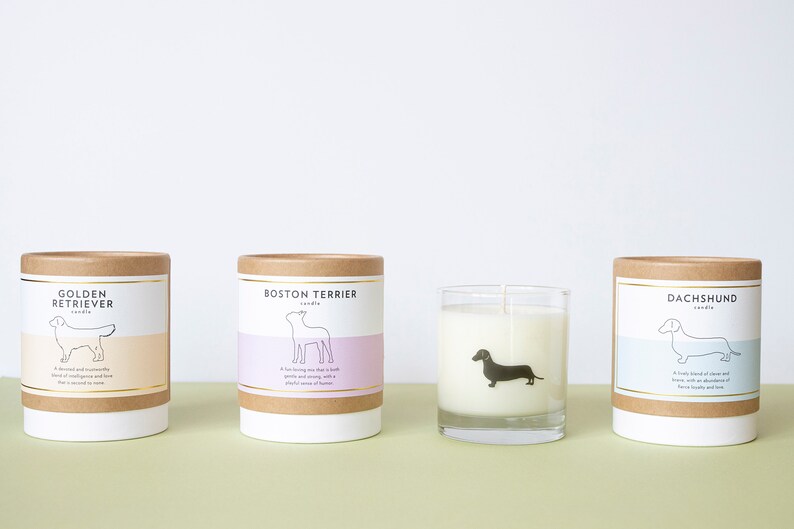 Puede incluir: Cuatro velas en frascos de vidrio y contenedores de cart&oacute;n con nombres e ilustraciones de razas de perros. Las velas est&aacute;n etiquetadas como "Golden Retriever", "Boston Terrier", "Dachshund" y "Golden Retriever".