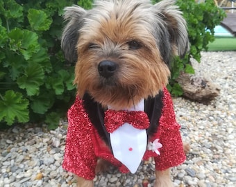 May include: A small, brown and black dog wearing a red sequined tuxedo with a white bow tie and a small flower on the lapel. The dog is standing on a bed of small, grey stones.