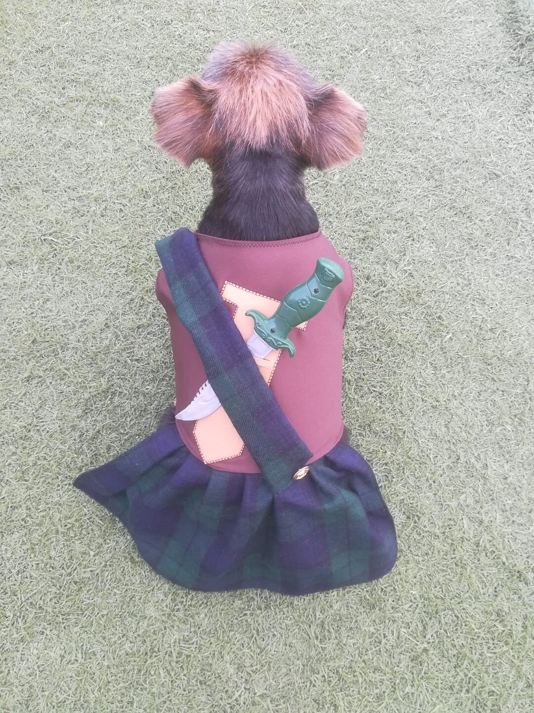 Braveheart Dog Costume, Scottish Dog Costume, Kilt Dog Costume. Kilt