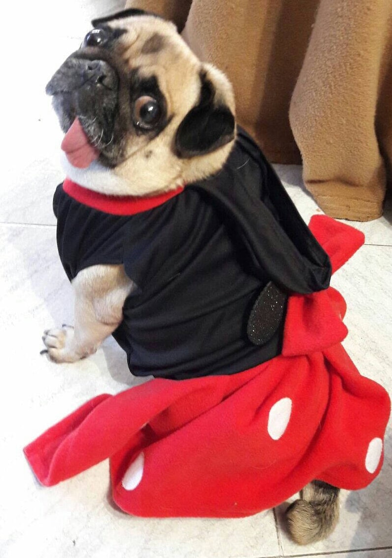 Minnie Mouse Dog Costume Minnie Mouse Costume for Dogs Etsy Singapore