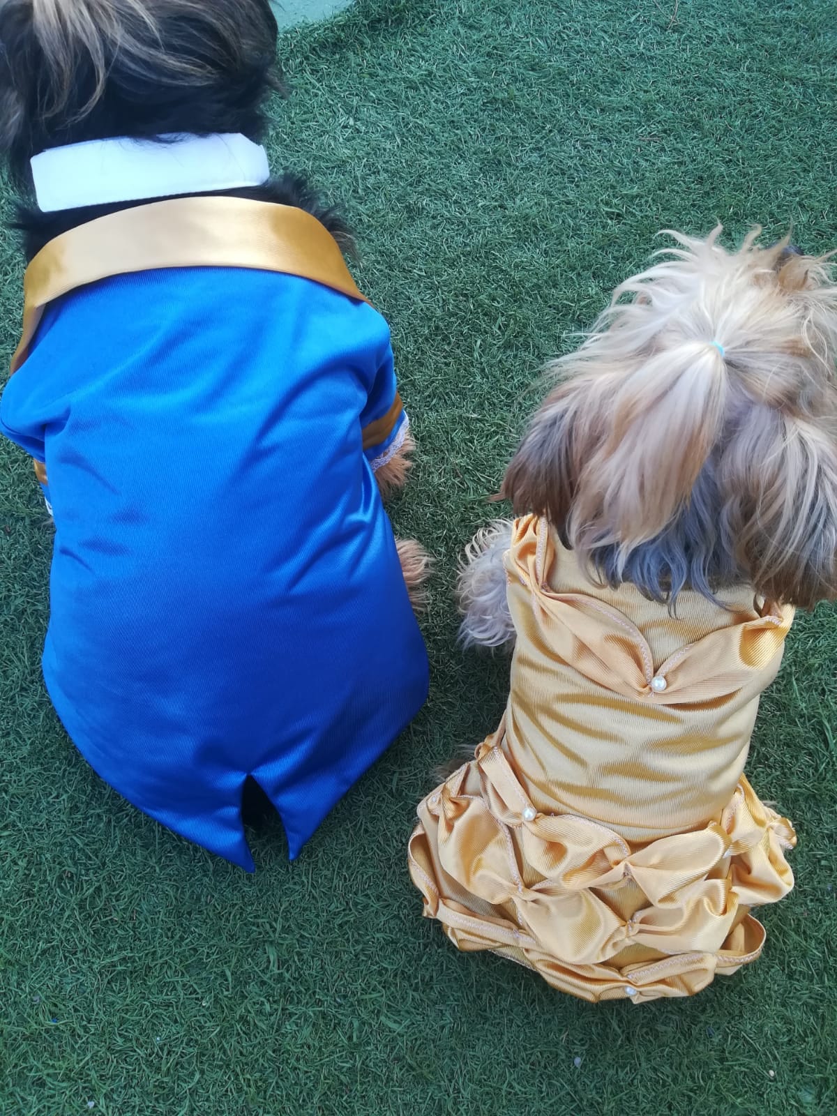 Beauty and the Beast Beast Dog Costume Beauty and the Beast Etsy