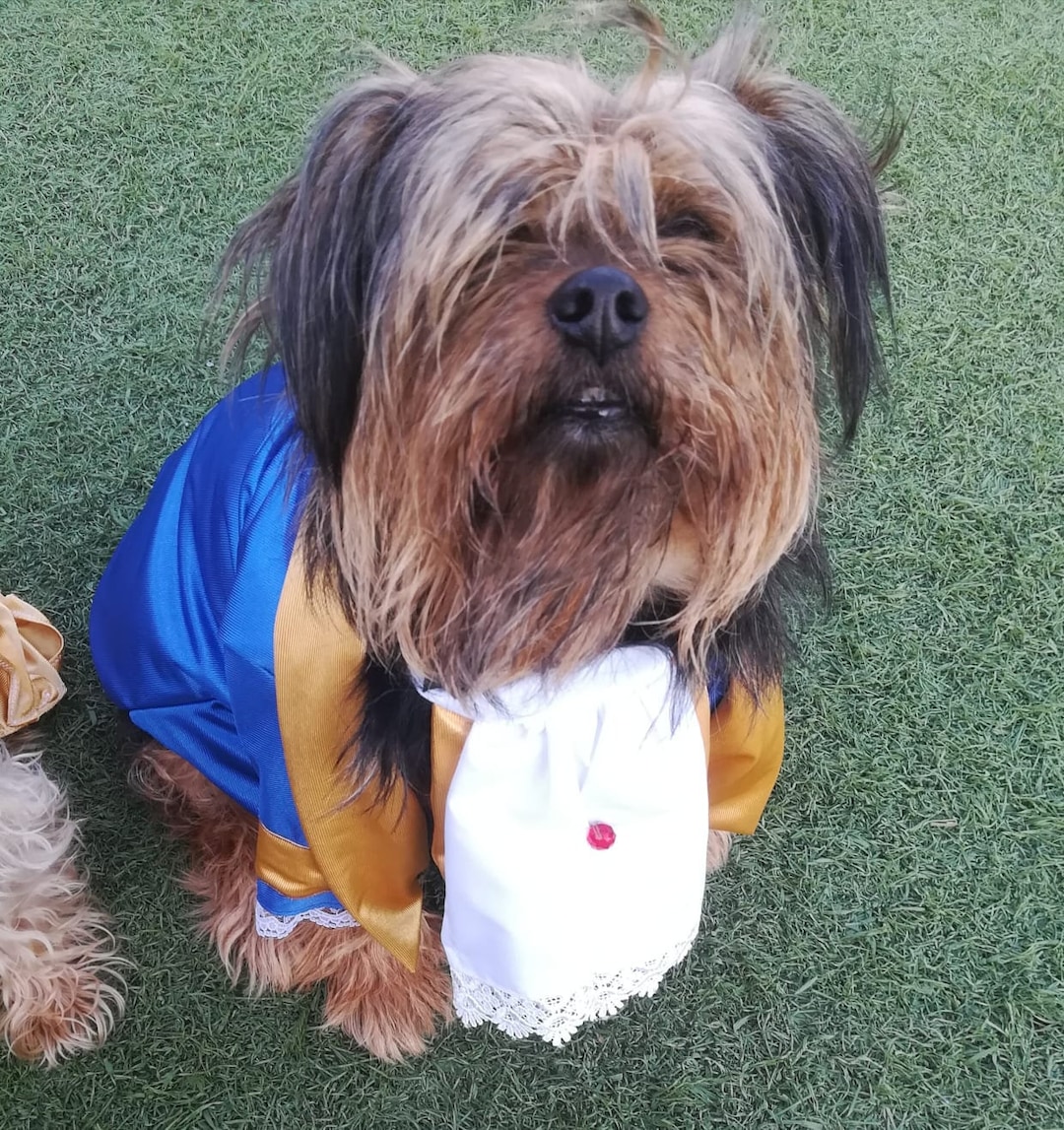 Beauty and the Beast, Beast Dog Costume, Beauty and the Beast Costume