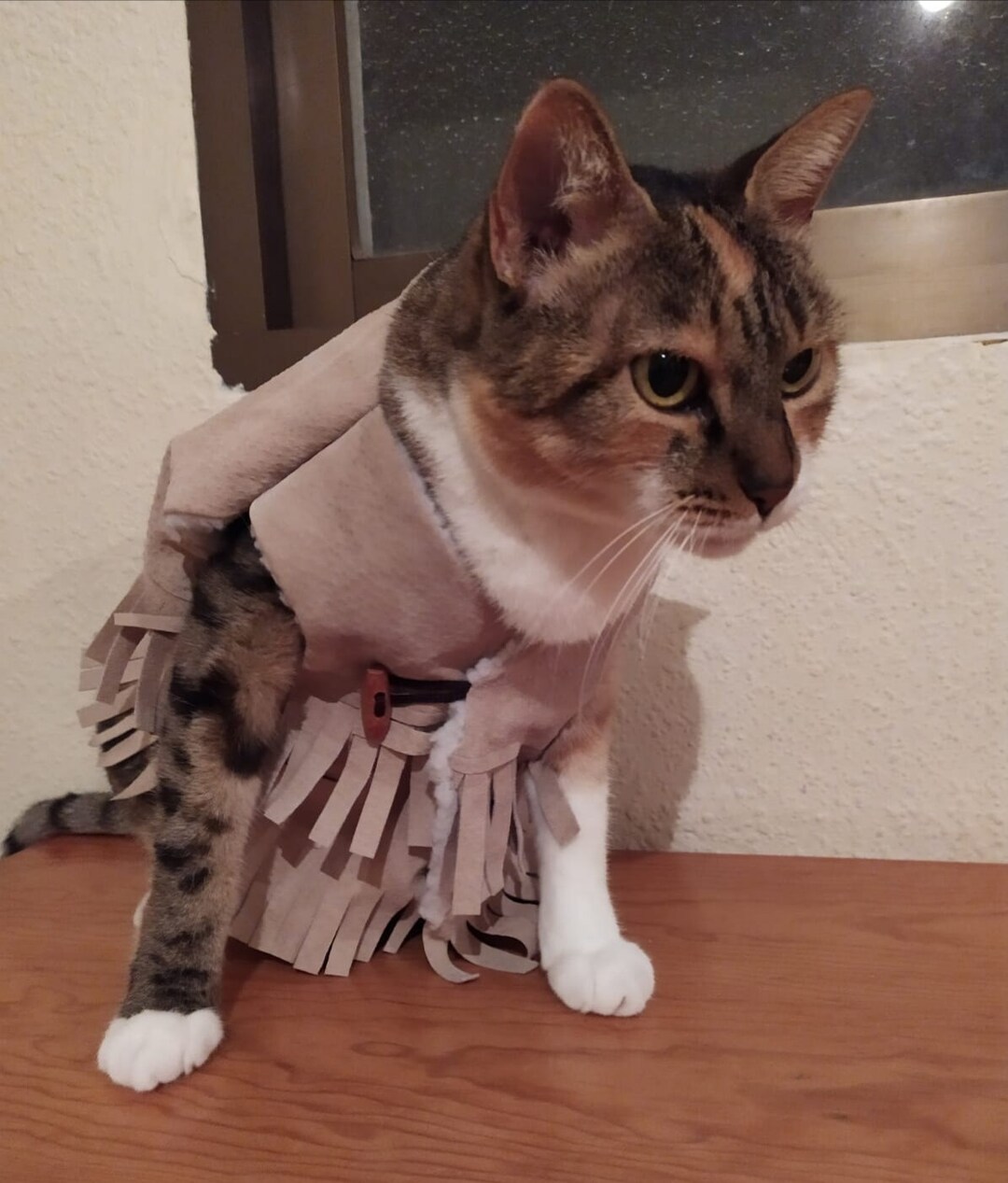 Dog Jacket, Dog Leather Jacket, Leather Jacket for Dogs, Cat Leather