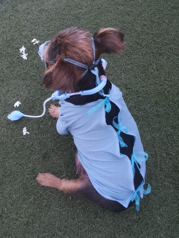 Dog doctor halloween hot sale costume