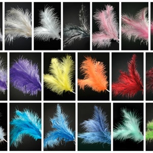 FEATHER Spray Stem Wired Cake Topper - Choose White, Ivory, Silver, Black, Pink, Fuchsia, Lilac, Purple, Yellow, Orange, Red, Blue, Lime