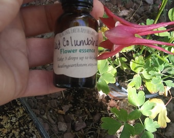 Red Columbine flower essence