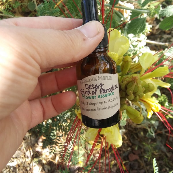 Birds of Paradise Etsy