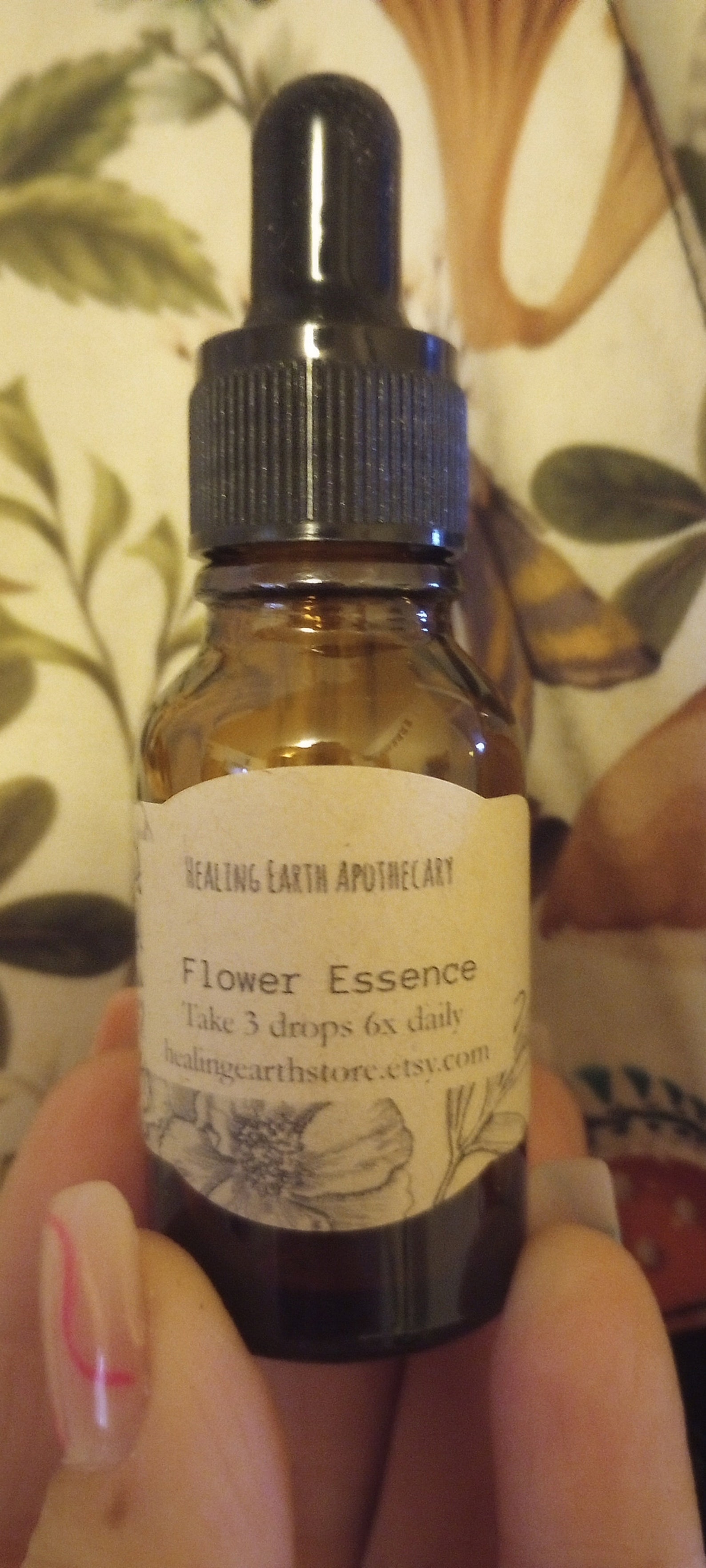Wild Mustard Flower Essence. NOT A LIVE PLANT. Etsy