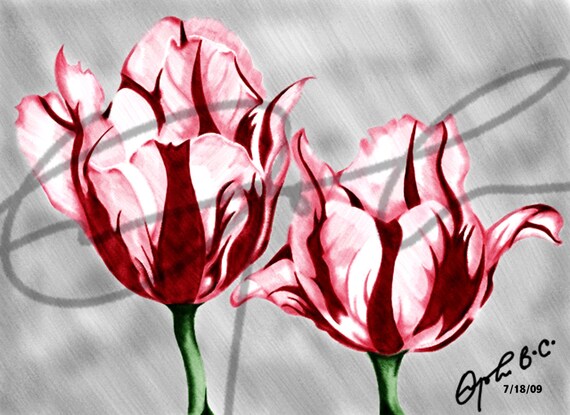 SCARICA TULIPANI ROSSI IMMAGINI DA