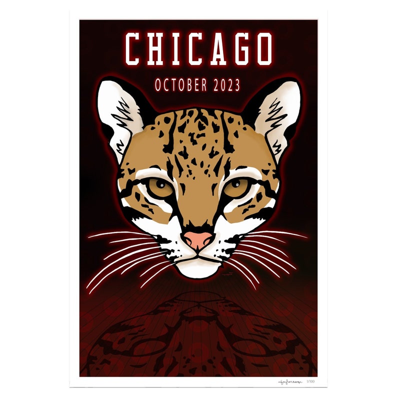 Phish Chicago 2023 Fall Tour Poster Etsy