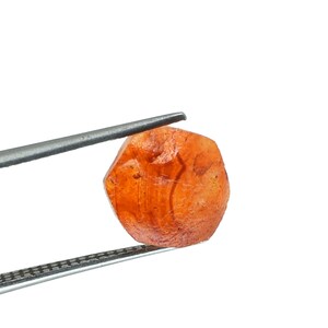 May include: A rough, orange gemstone held by a pair of silver tweezers. The gemstone has a textured surface and an irregular, rounded shape. The background is plain white, highlighting the gem's color and form.