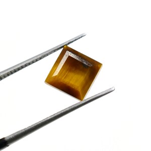 May include: A square-cut, golden-brown tiger's eye gemstone is held by silver tweezers against a white backdrop. The gemstone has a polished surface with visible chatoyancy, reflecting light in a way that resembles a cat's eye.