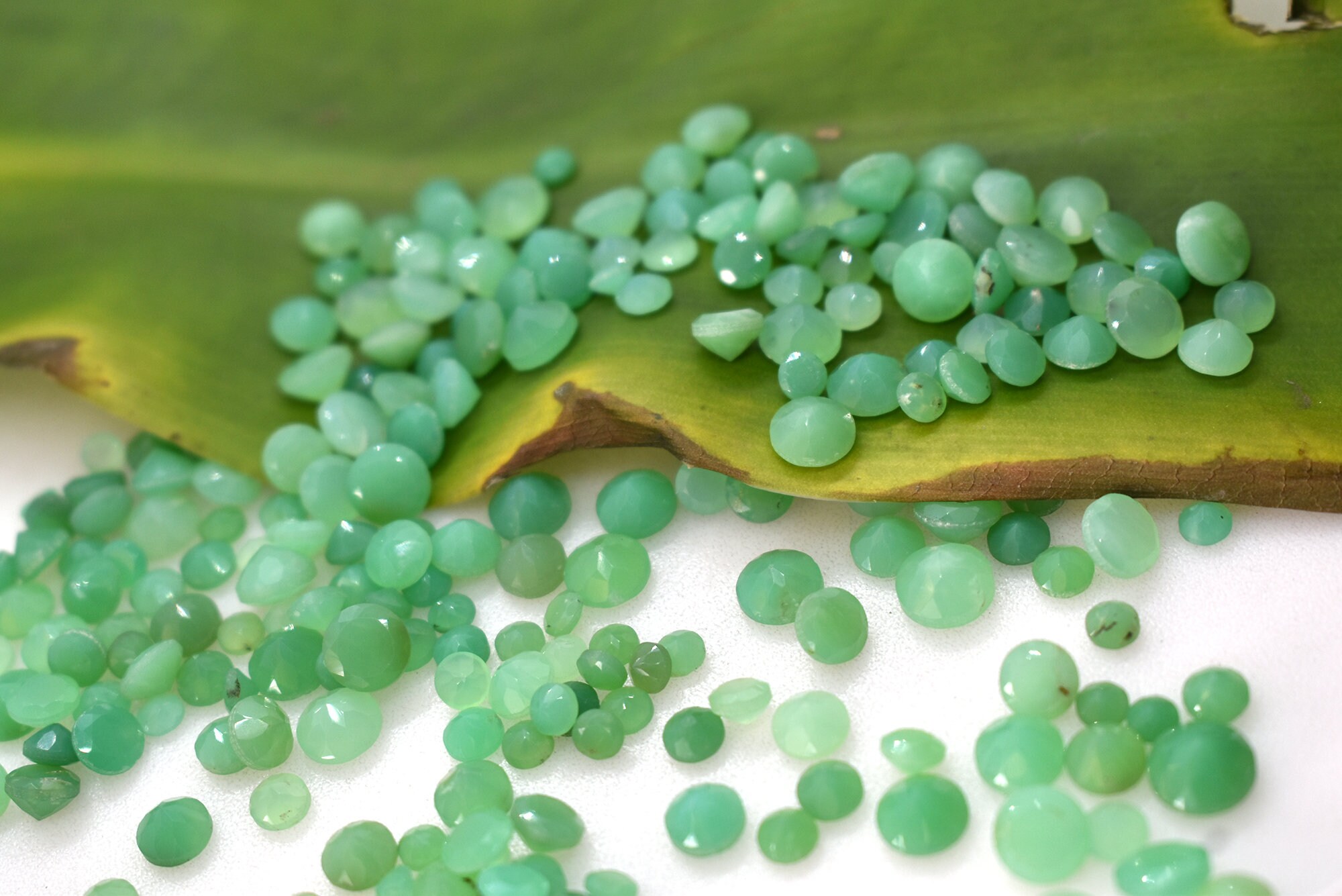 Natürlicher Zitronen-Chrysopras Cabochon 20x17x4mm - Lose Edelsteine Für Schmuckherstellung