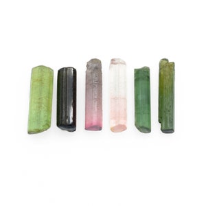 May include: Six tourmaline crystals in varying colors, including green, black, pink, and clear, are arranged against a white background. The crystals are cylindrical and have a natural, rough texture. The gemstones are a mix of opaque and translucent.