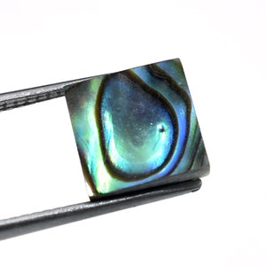 Natural Abalone Shell Gemstone Slices One Side Polished Disk Slices Fancy Shell Gemstone Real Abalone Pearl Jewelry Making Bracelet 5 Pieces