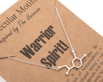 Sterling Silver Norepinephrine Survivor Warrior Spirit Molecule Necklace-Handcrafted Science Gift Jewelry-Christmas Gift