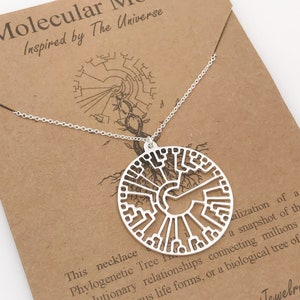 Biological Tree of Life-Silver or 18k Rose Gold Finish-Phylogenetic Tree Necklace-Hillis Plot-Evolution-Biology Gift-Christmas Gift image 2