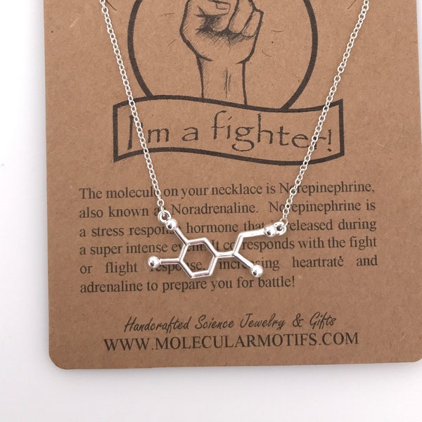 Norepinephrine Hormone Molecule Necklace | Sterling Silver Chain | Science Jewelry, Survivor Gift