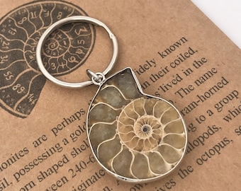 Ammonite Fossil Keychain-Science Gift-Unique Keychain-OOAK-Biology Gift-Graduation Gift-Teacher Gift-Professor Gift-Christmas Gift
